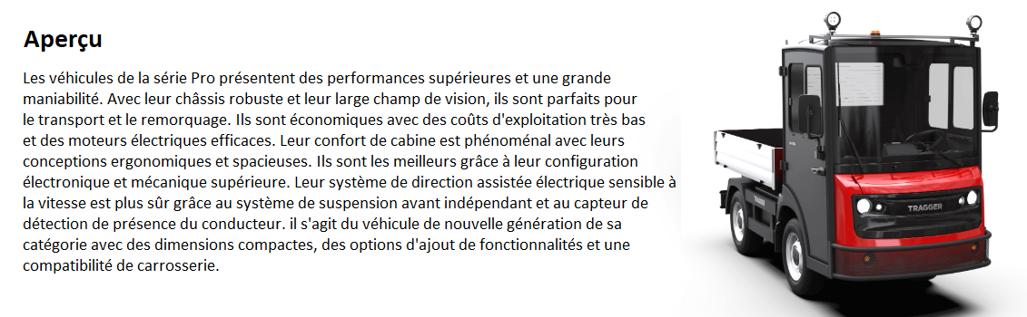 Véhicule électrique QD-S700